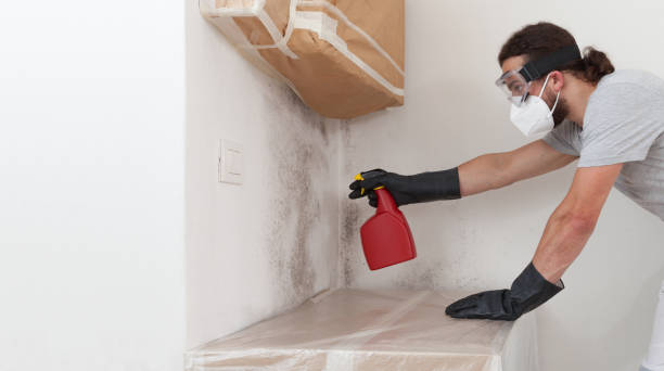 Professional Basement Mold Remediation technician working in Leonardo, NJ