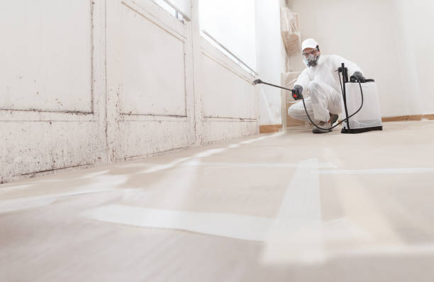 24/7 Emergency Basement Mold Remediation experts in Leonardo, NJ