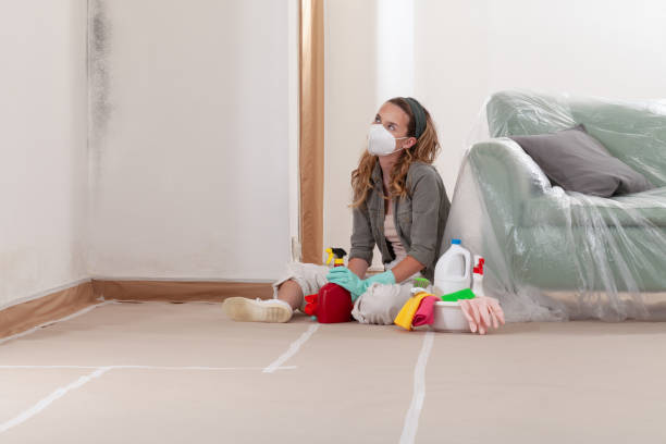 Reliable Basement Mold Remediation contractor in Leonardo, NJ by Car Mold Remediation